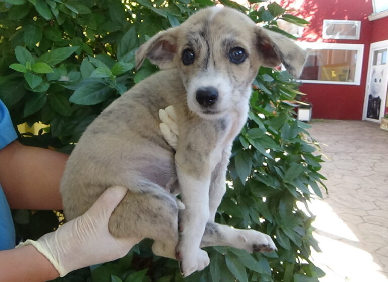 multimedia-foto52290-173-1