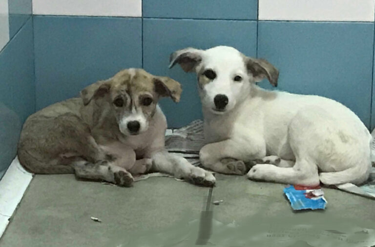 multimedia-foto52292-173-1