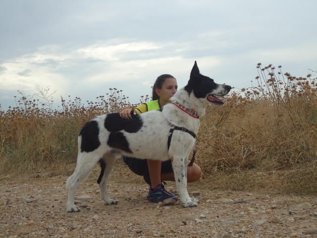 multimedia-foto52301-695-3