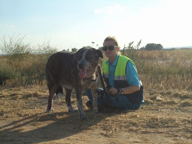 multimedia-foto52305-773-3