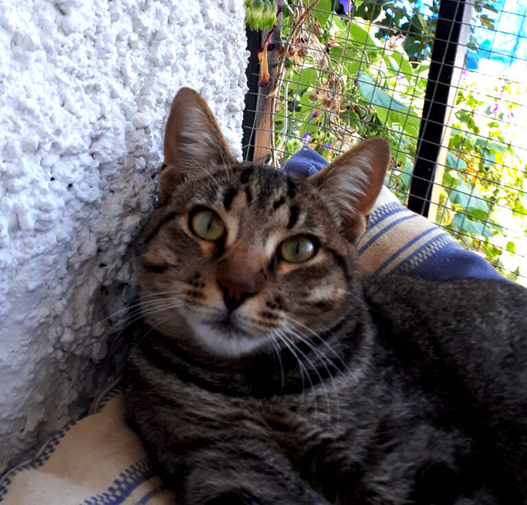 multimedia-foto52314-14-1