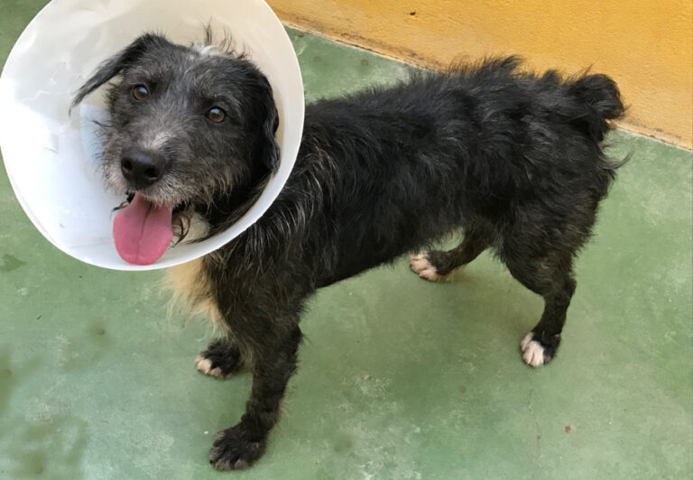 multimedia-foto52319-83-1