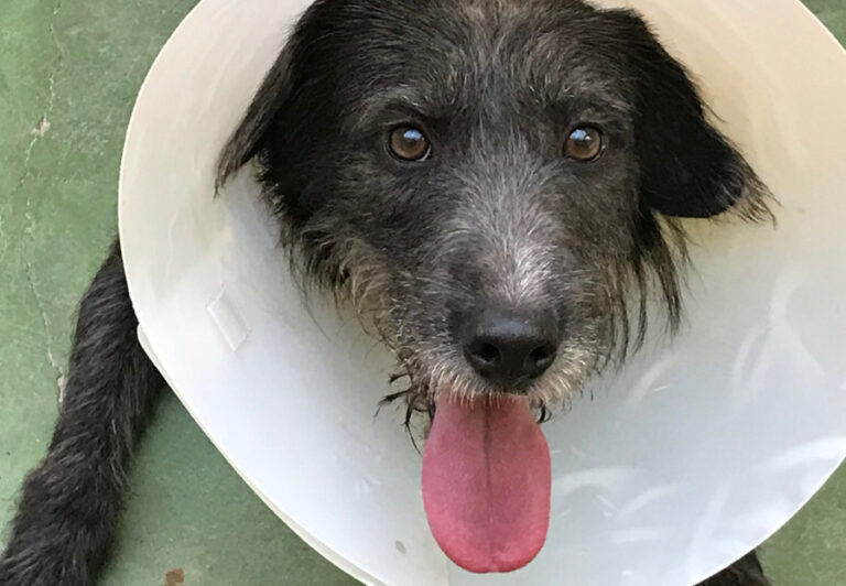 multimedia-foto52321-83-1