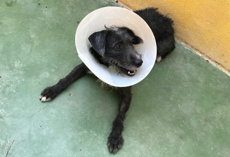 multimedia-foto52322-84-1