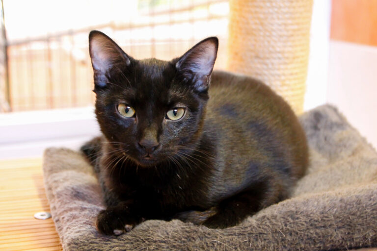 multimedia-foto52367-879-1