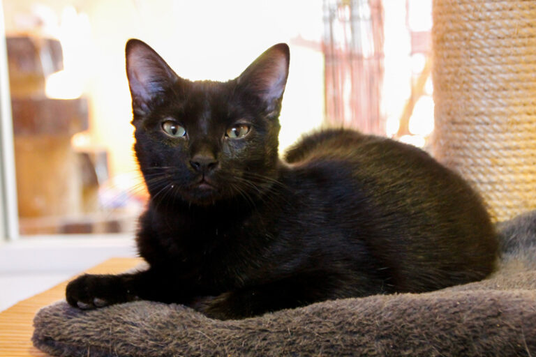 multimedia-foto52368-879-1