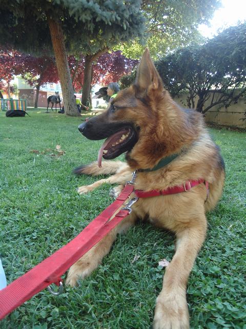 multimedia-foto52372-517-1