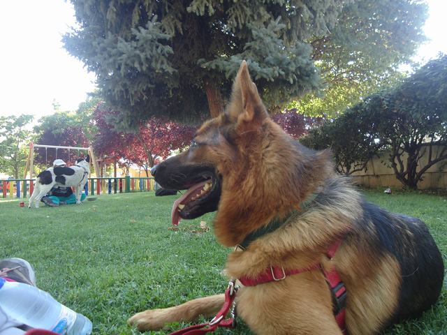 multimedia-foto52373-517-1