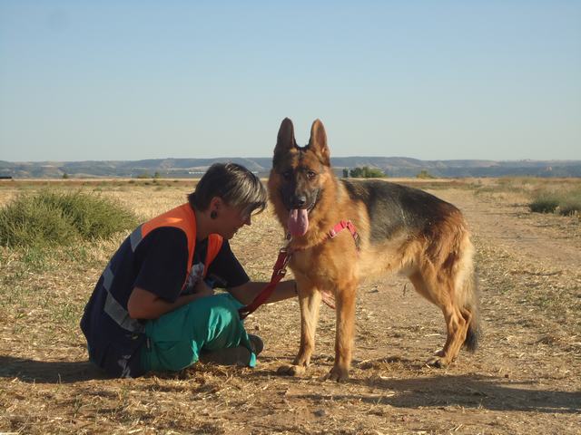 multimedia-foto52374-517-1