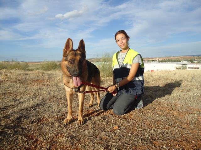 multimedia-foto52375-517-1