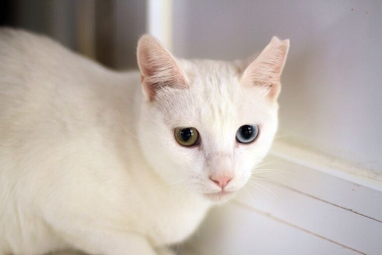 multimedia-foto52413-307-1