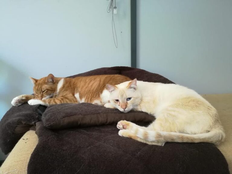 multimedia-foto52427-839-1