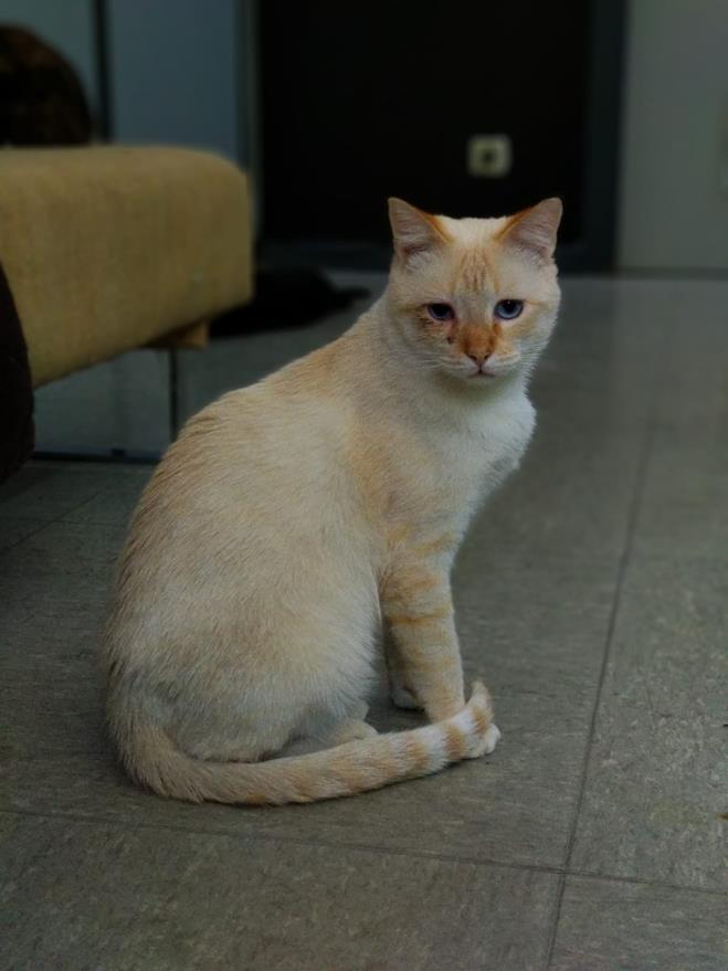 multimedia-foto52429-839-1