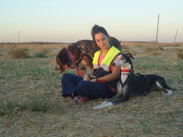 multimedia-foto52437-523-3