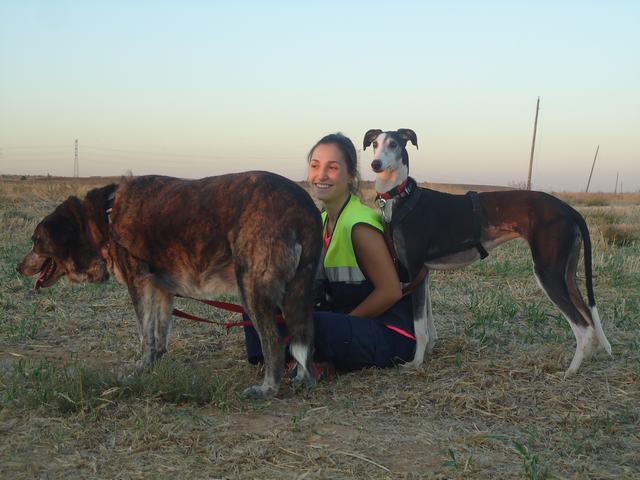 multimedia-foto52438-523-3