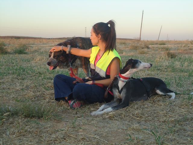 multimedia-foto52439-523-3