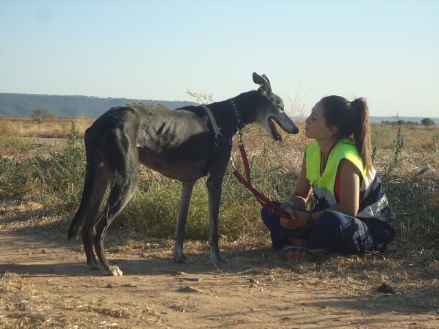 multimedia-foto52448-613-3