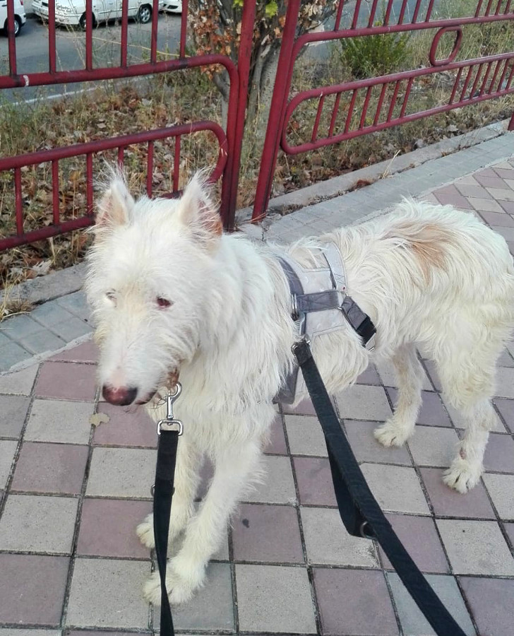 multimedia-foto52517-982-1