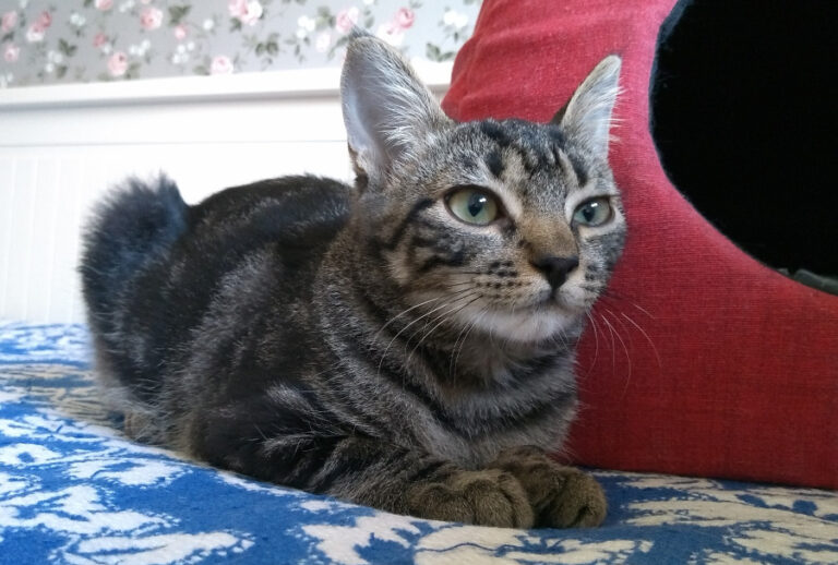 multimedia-foto52531-25-1