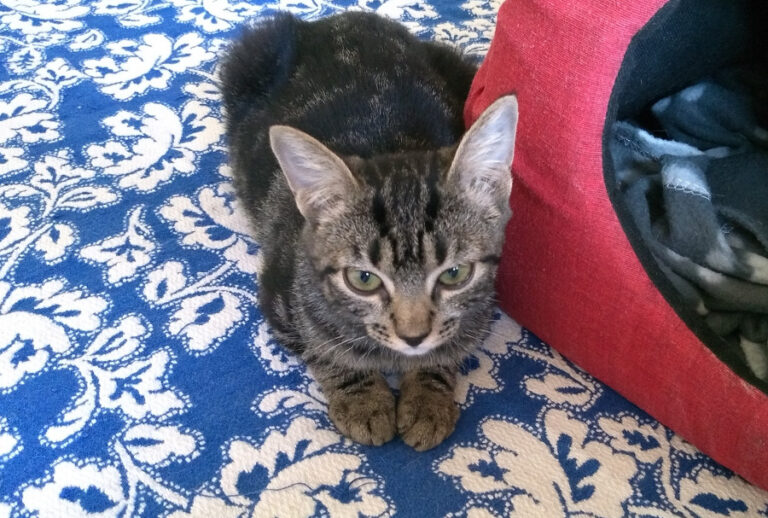 multimedia-foto52532-25-1