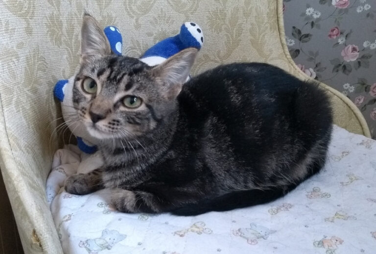 multimedia-foto52533-25-1