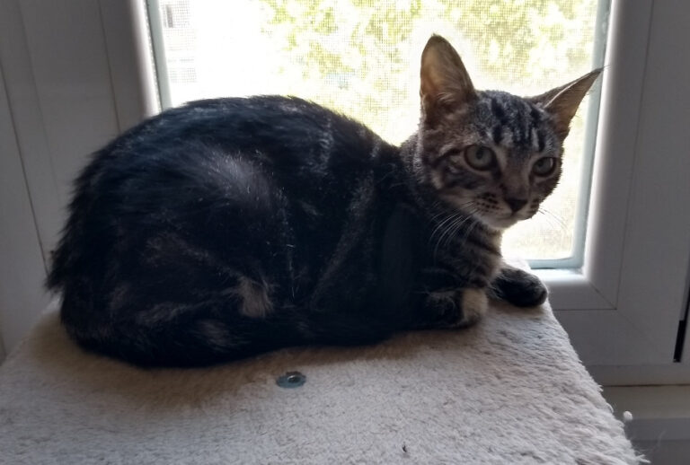 multimedia-foto52537-26-1