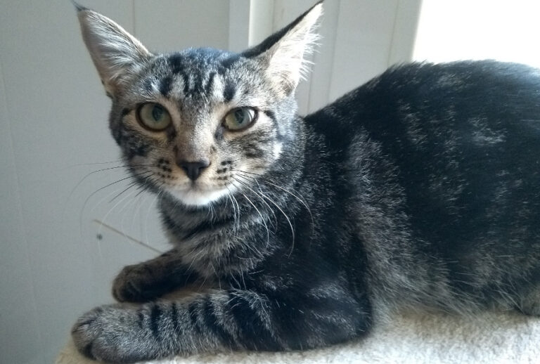 multimedia-foto52538-27-1