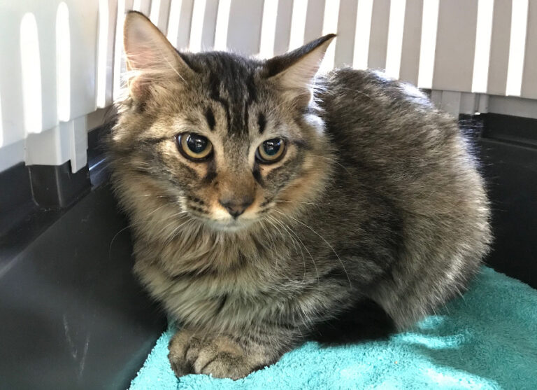 multimedia-foto52629-556-1