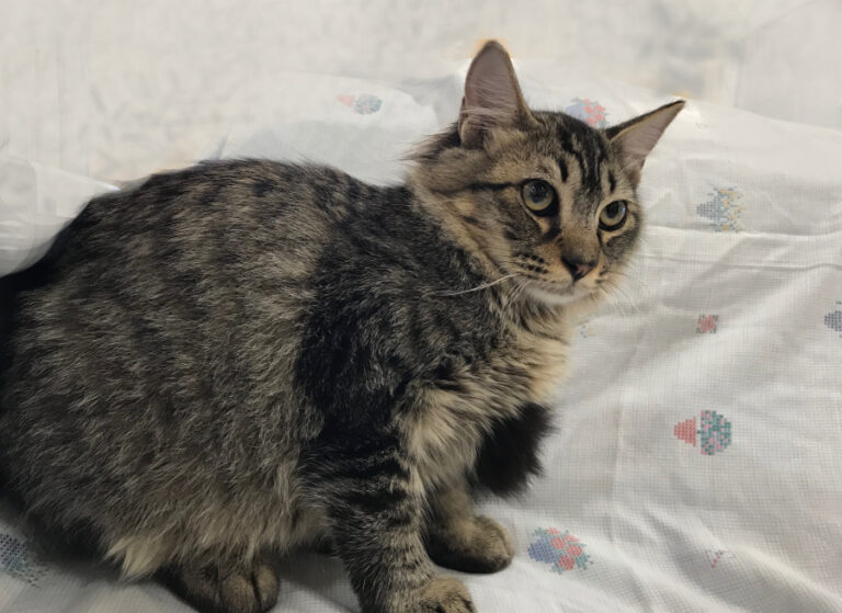 multimedia-foto52633-557-1