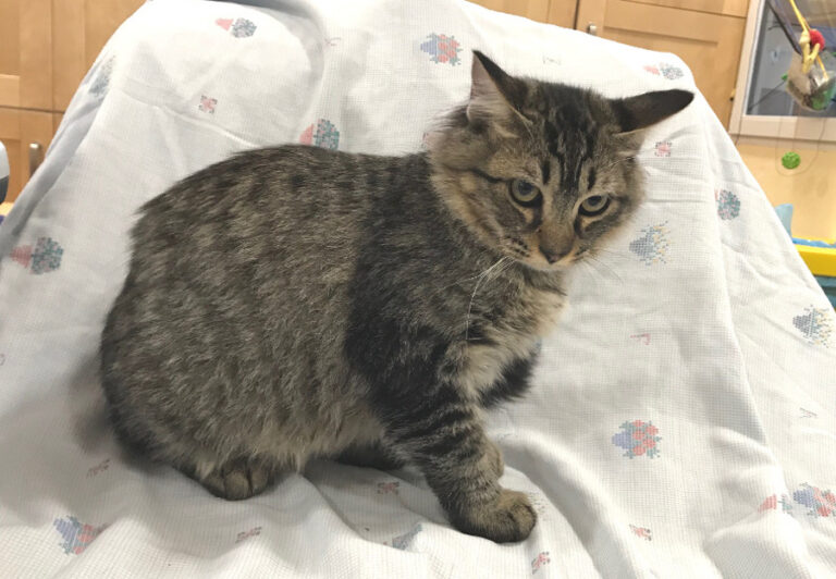 multimedia-foto52635-592-1