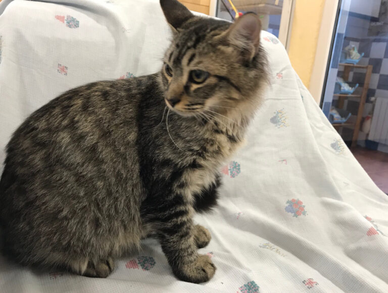 multimedia-foto52638-593-1