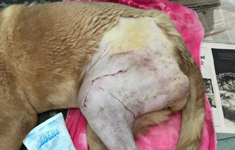 multimedia-foto52663-152-1