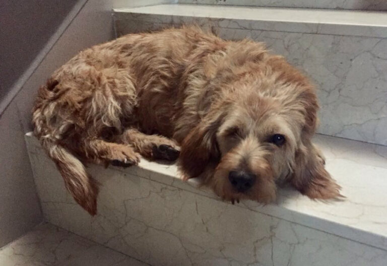 multimedia-foto52664-218-1