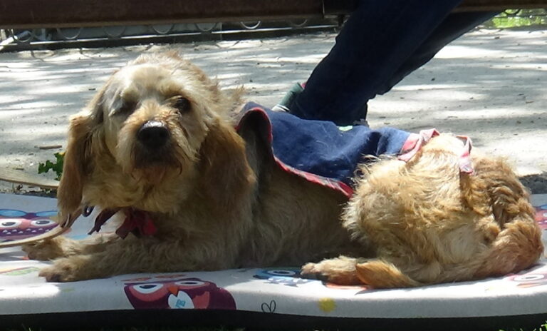 multimedia-foto52665-218-1