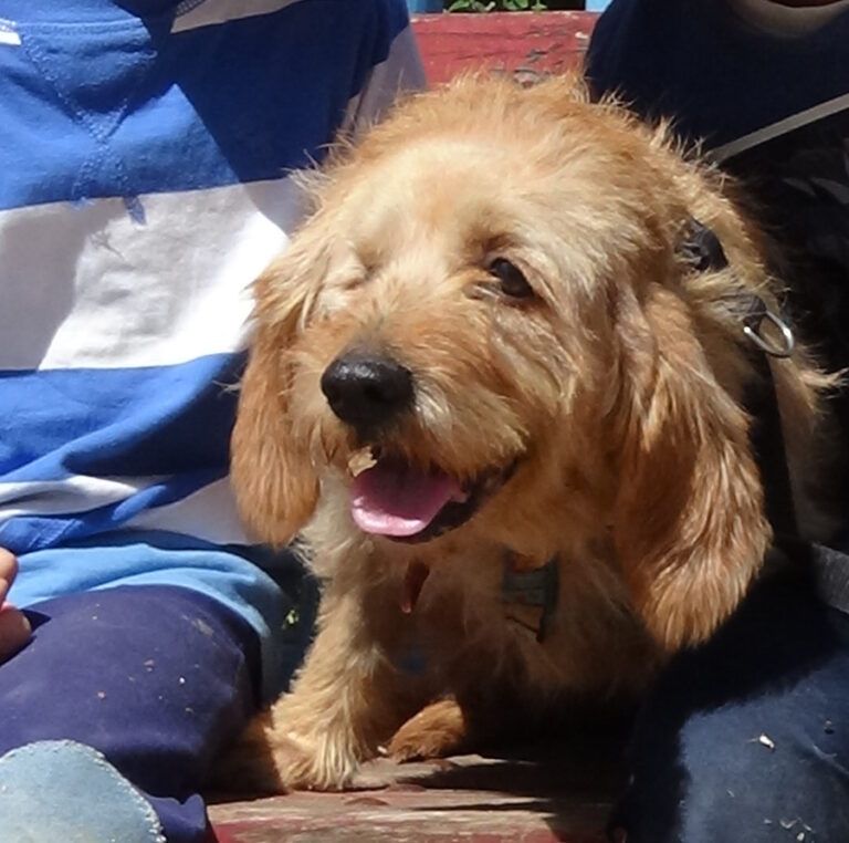 multimedia-foto52666-218-1