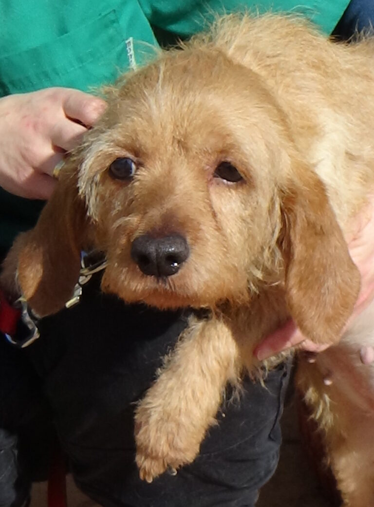 multimedia-foto52667-218-1