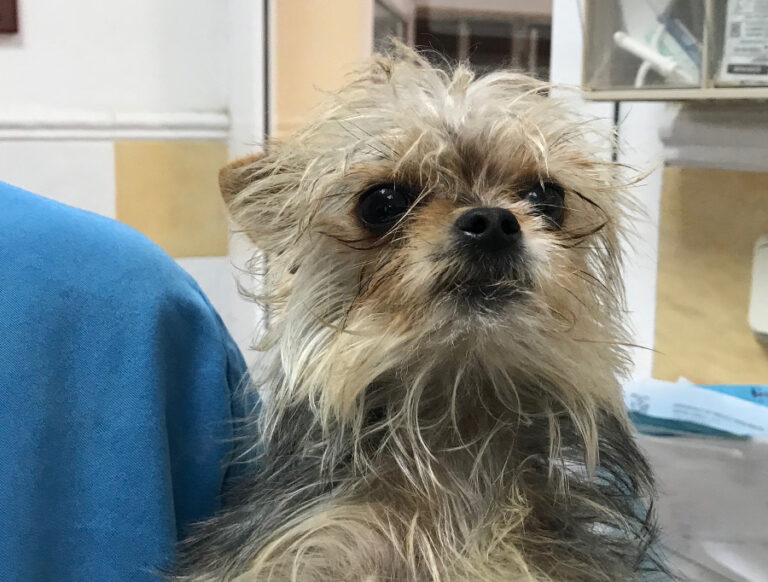 multimedia-foto52668-369-1