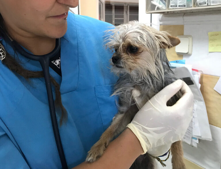 multimedia-foto52669-370-1