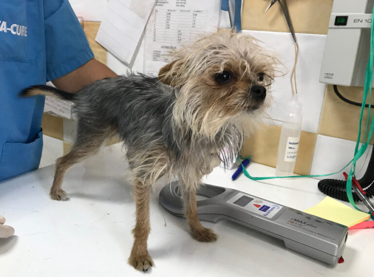 multimedia-foto52670-370-1