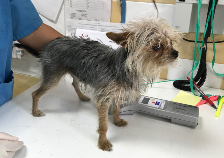 multimedia-foto52671-370-1