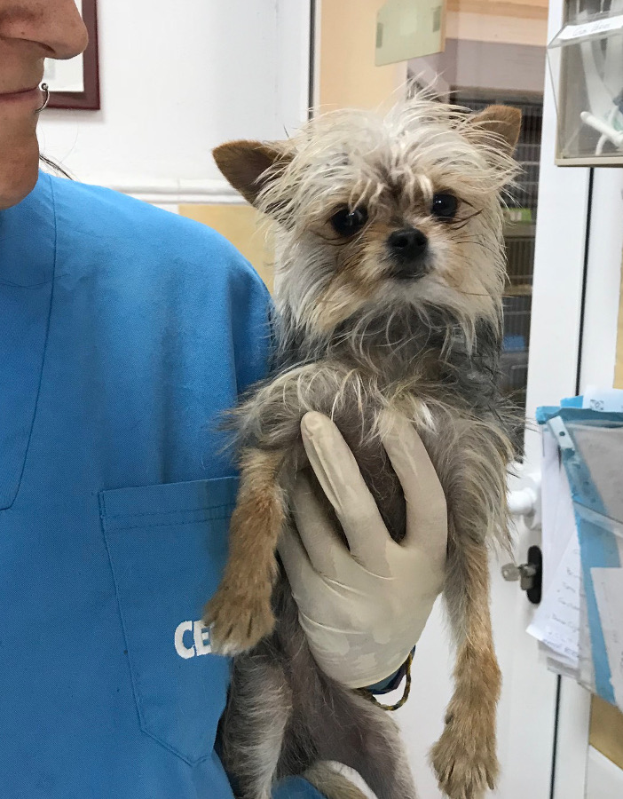 multimedia-foto52672-370-1