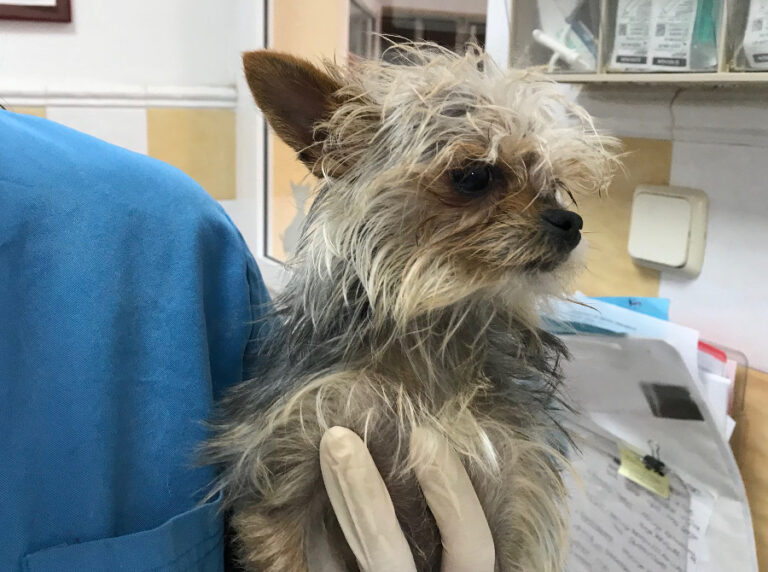 multimedia-foto52673-371-1