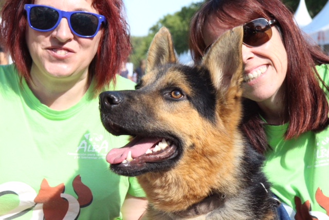 multimedia-foto52674-456-1