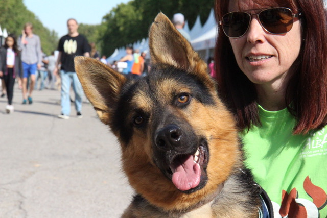 multimedia-foto52675-456-1