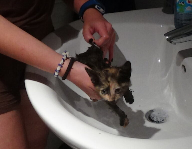 multimedia-foto52685-24-1