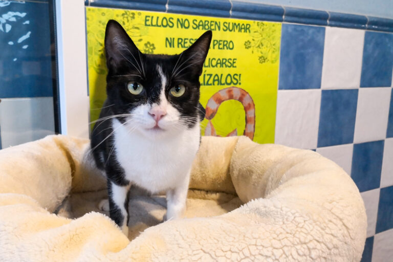 multimedia-foto52704-152-1