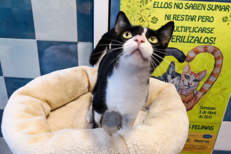 multimedia-foto52705-153-1