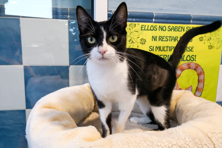 multimedia-foto52706-153-1