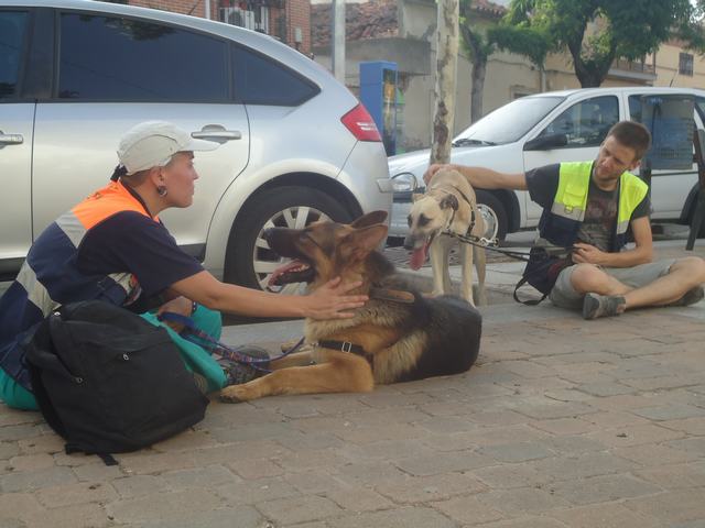 multimedia-foto52714-40-1