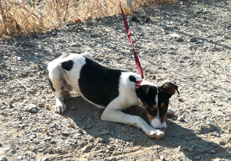 multimedia-foto52795-388-1